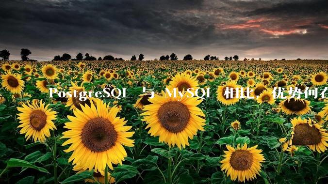 PostgreSQL 与 MySQL 相比，优势何在？